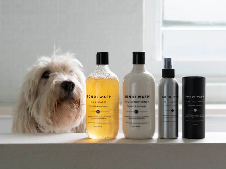 LOVING OUR FURRY FRIENDS